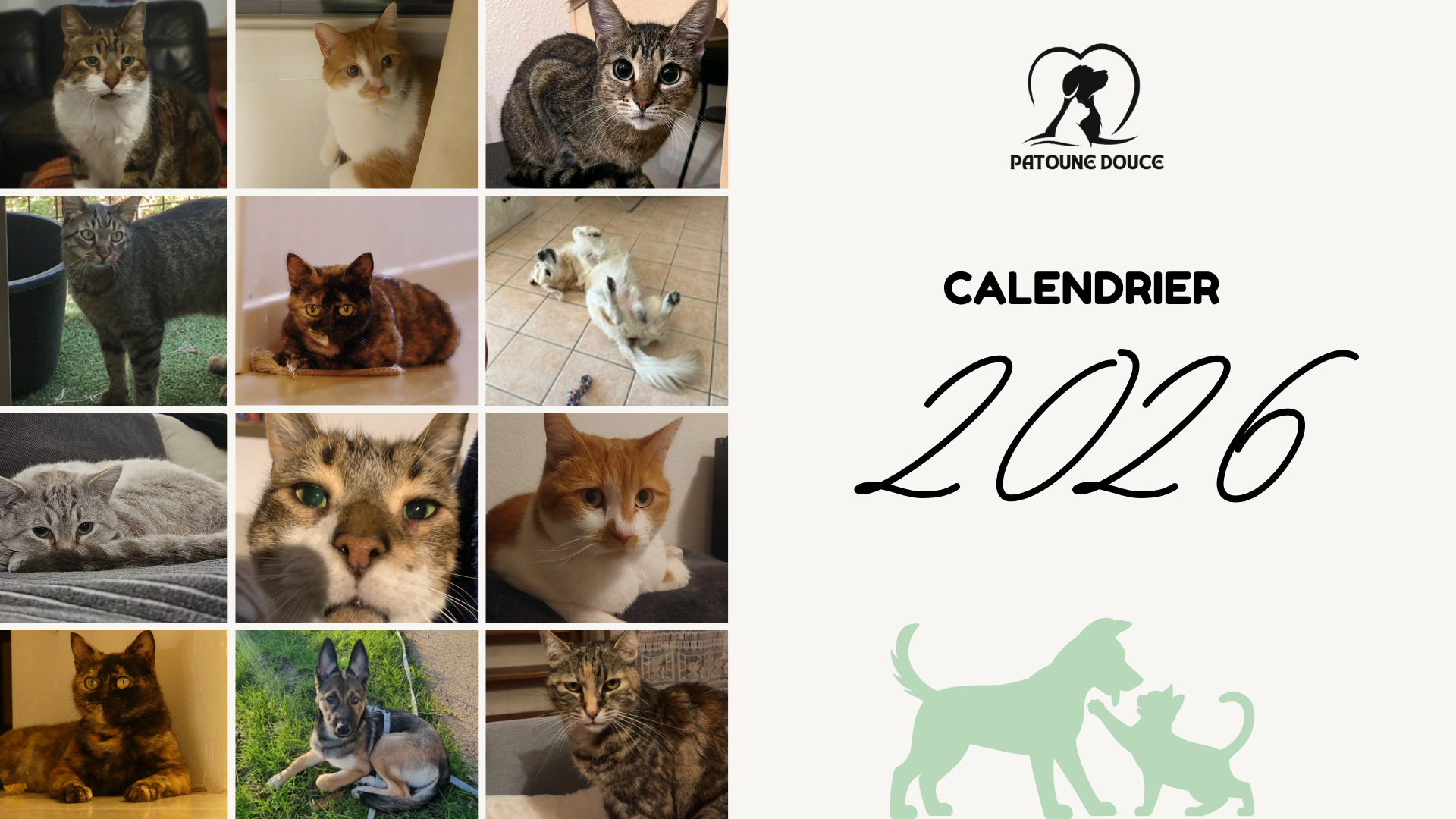 Calendrier 1.png